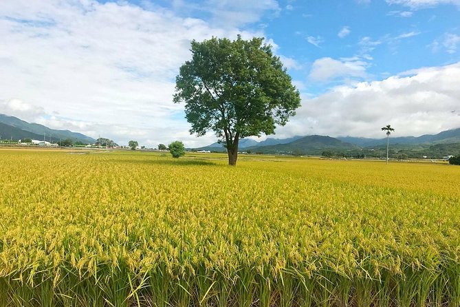 Private 4-Day Eastern Taiwan Tour: Yilan Hualien Taitung - Accessibility and Refund Policy