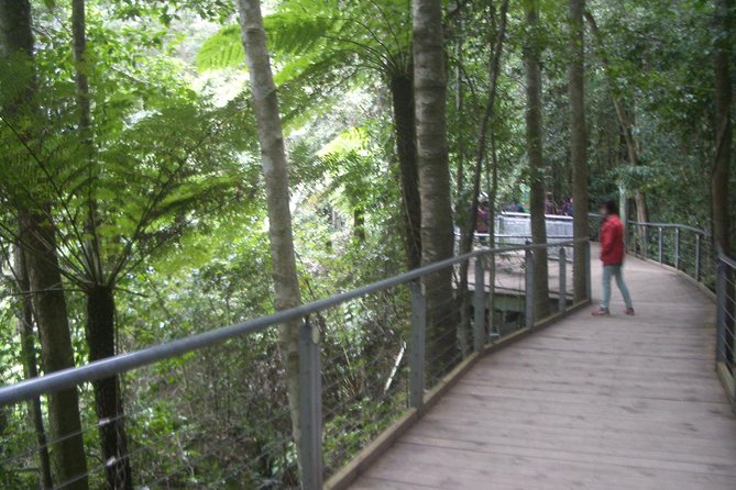 PRIVATE All Blue Mountains Tour, Wildlife Park and River Cruise - Cancellation Policy