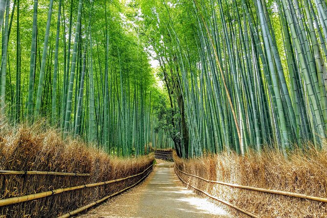 Private Arashiyama Walking Tour: Bamboo, Monkeys & Secrets - Last Words