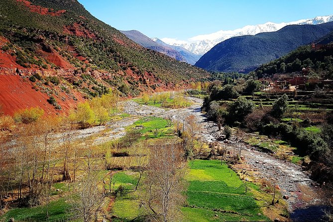 Private Atlas Mountains and 5 Valleys Tour From Marrakech - All Inclusive - - Customer Support Information