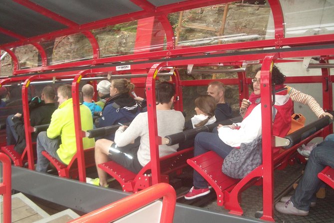 PRIVATE Blue Mountains Day Tour From Sydney With Wildlife Park and River Cruise - Recommendations for Optimal Experience
