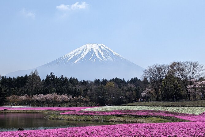 Private Car Mt Fuji and Gotemba Outlet in One Day From Tokyo - Common questions