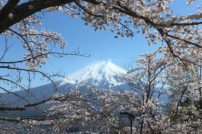 Private Car Tour to Mt. Fuji Lake Kawaguchiko or Hakone Lake Ashi - Common questions