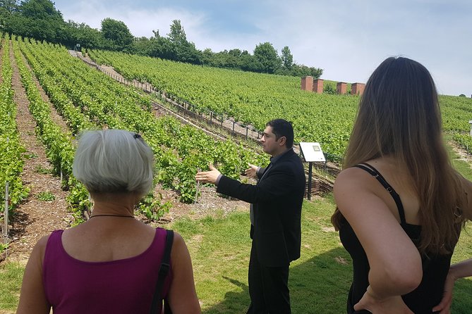 Private Day Tour in Champagne - Common questions