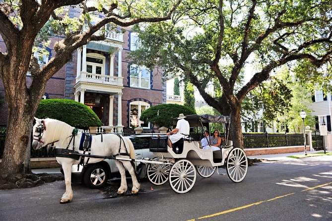 Private Daytime or Evening Horse-Drawn Carriage Tour of Historic Charleston - Memorable Experiences and Recommendations