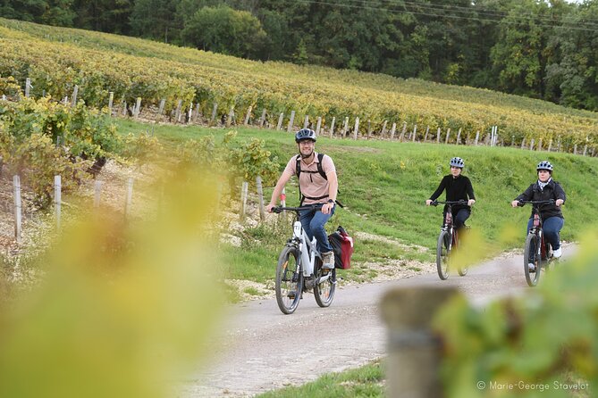 Private E-Bike Tour With a Guide in the Vineyards of Chablis - Last Words