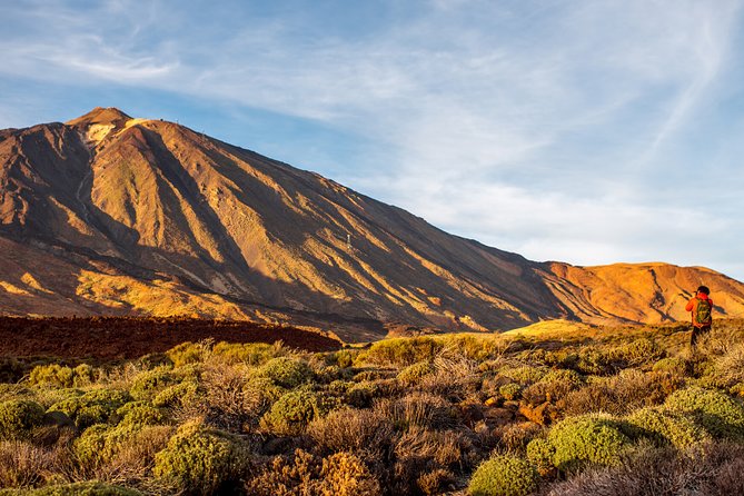 Private Excursion to Teide National Park - Common questions