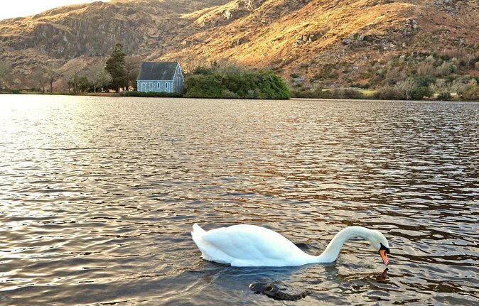 Private Full Day Ancestry Tour in Kerry - Last Words