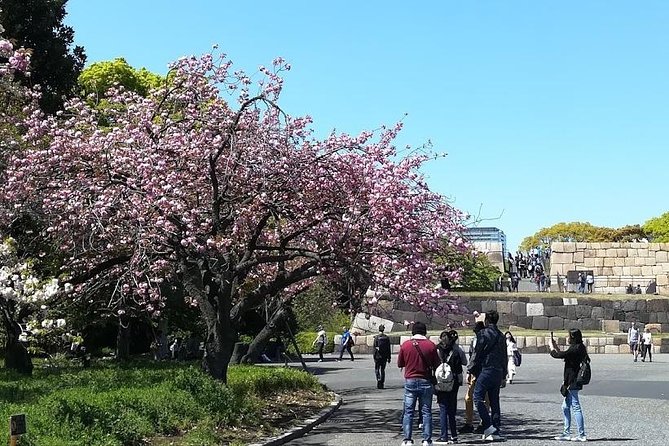 Private Full-Day Cherry-Blossom Tour of Tokyo With Tsukiji - Common questions