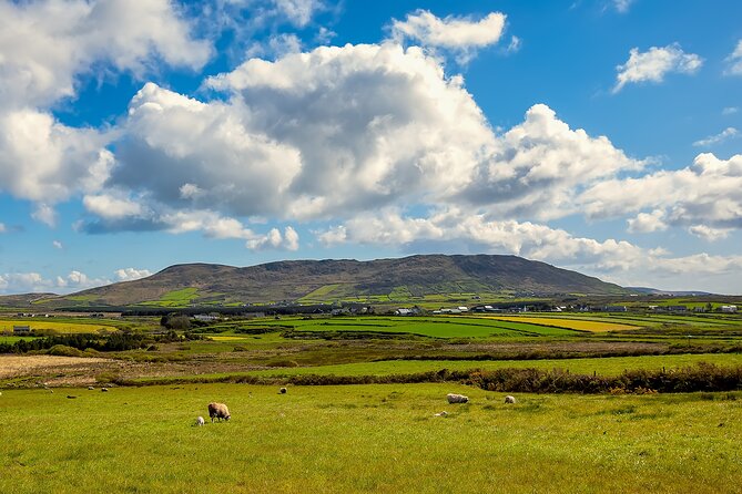 Private Full-Day Dingle Peninsula Slea Head Drive Tour - Booking and Cancellation Policies