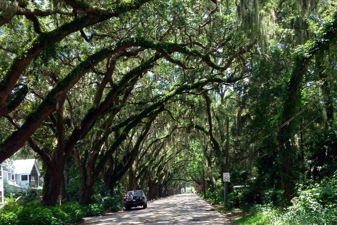 Private Guided Historic Electric Cart Tour of St. Augustine - The Wrap Up