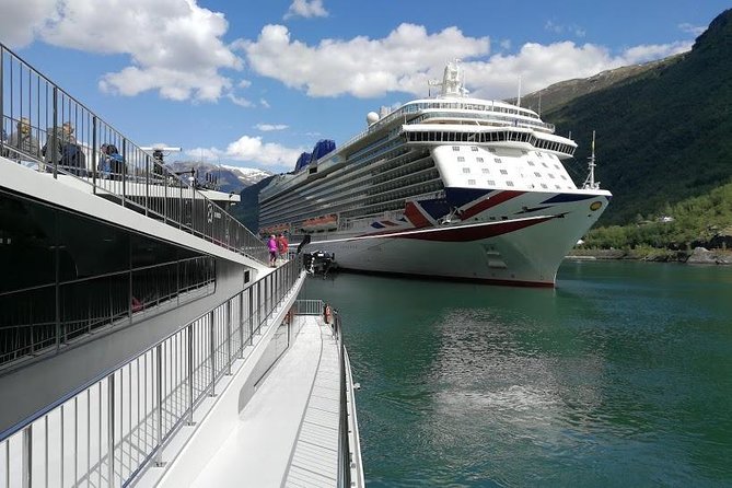 Private Guided Tour - Premium Nærøyfjord Cruise and Flåm Railway - Common questions