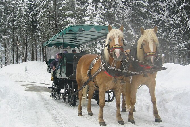 Private Horse-Drawn Sleigh Ride From Salzburg - Last Words