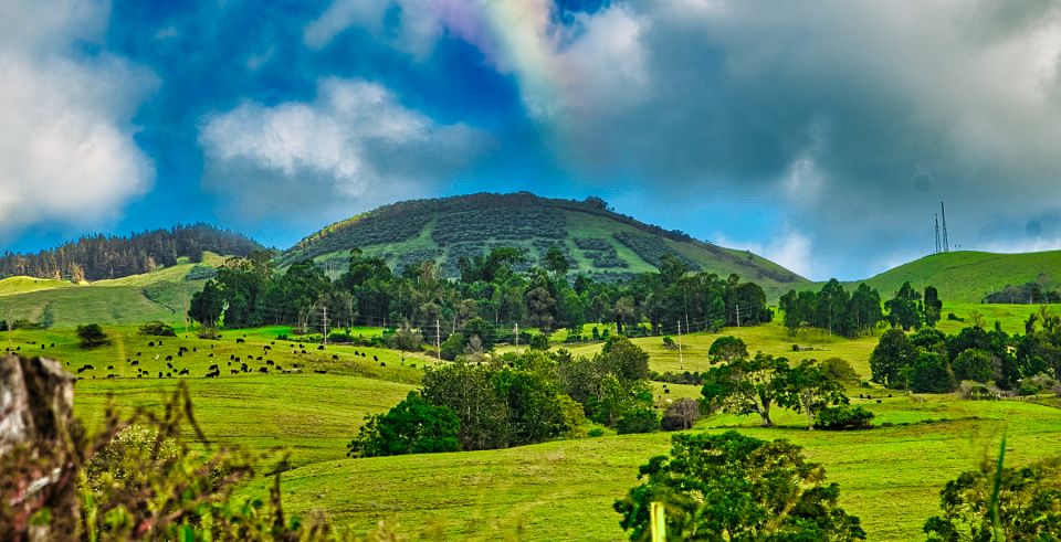 Private Iao Valley/Upcountry VIP Farm Tour- Full Day - Iao Valley Scenic Views