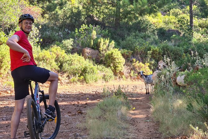 Private Mountain Bike Tour in Sierra Bermeja, Estepona - Additional Assistance
