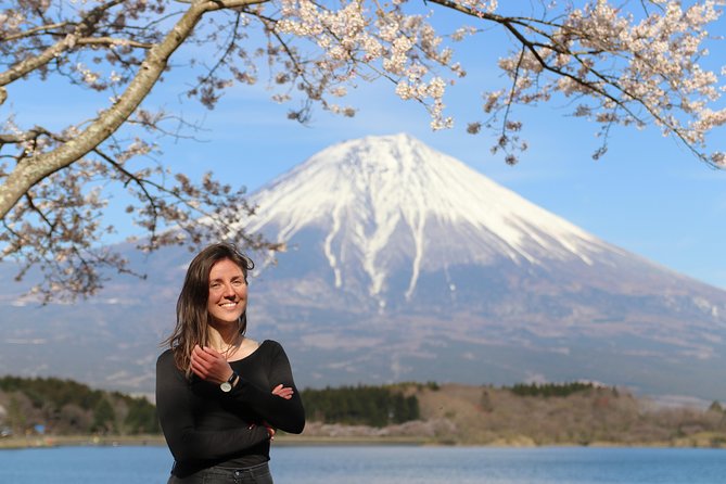 Private Mt Fuji Tour From Tokyo: Scenic BBQ and Hidden Gems - Customer Experience Highlights