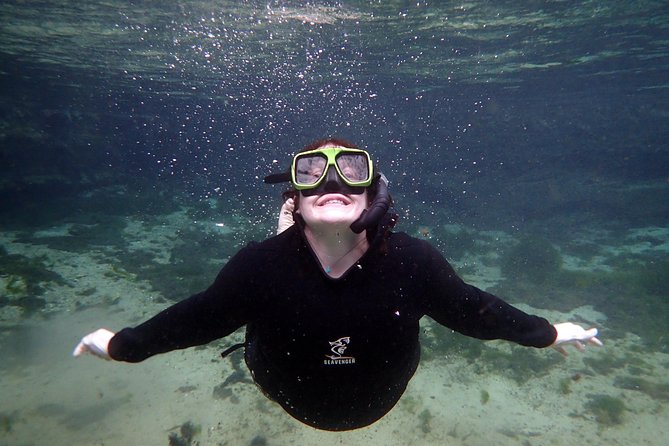 Private OG Manatee Snorkel Tour With Guide for up to 10 People - The Wrap Up