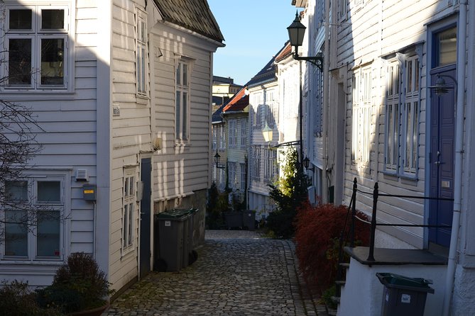 PRIVATE Tour: Bergen City Sightseeing, 3 Hours - Last Words
