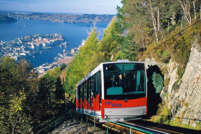 PRIVATE Tour: Bergen City Sightseeing, 5 Hours - Last Words