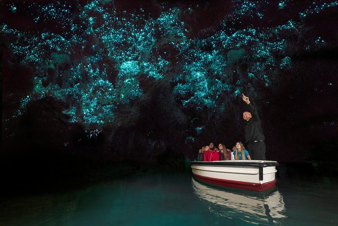 Private Tour From Auckland - Waitomo Glowworm Caves, Zealong Tea & Kiwi Bird - Last Words