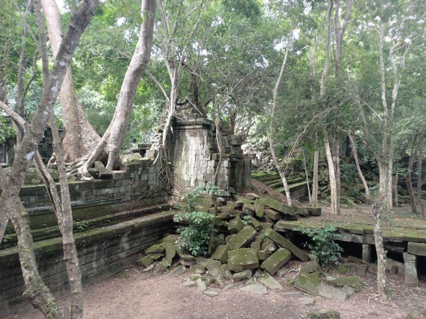 Private Tour From Siem Reap to Koh Ker, Beng Mealea Temple - Last Words