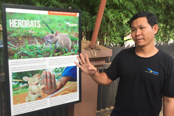 Private Tour: HERO Rats & Angkor National Museum - Common questions