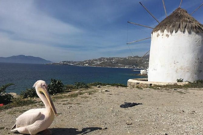 Private Tour: Mykonos Island in Half a Day - Insider Tips