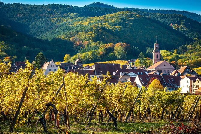 Private Tour: Picturesque Alsatian Villages & Wine Tasting With a Local Expert - Last Words