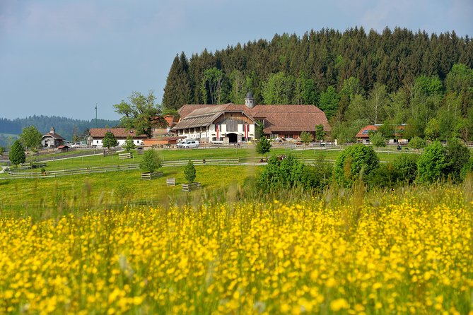 Private Tour to Aiderbichl Animal Welfare Centre From Salzburg - Special Offers Available