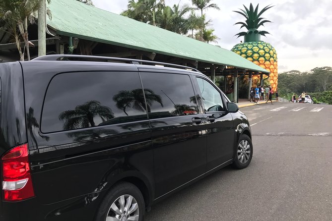 Private Transfer From Noosa to Sunshine Coast Airport 7 Seater - Common questions