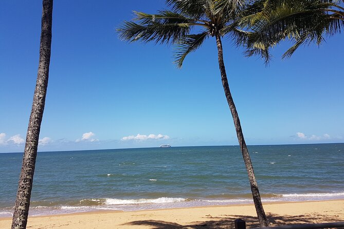 Private Transfers Cairns Airport to Port Douglas - Last Words