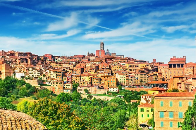 Private Tuscany Tour From Florence Including Siena, San Gimignano and Chianti Wine Region - Experience in Chianti Wine Region