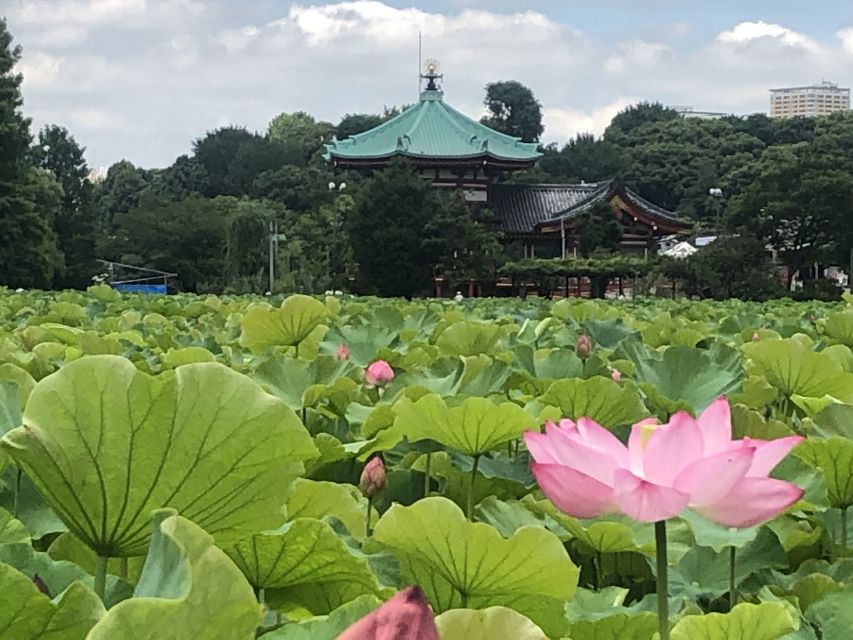 Private Ueno Park Architecture Tour - Common questions