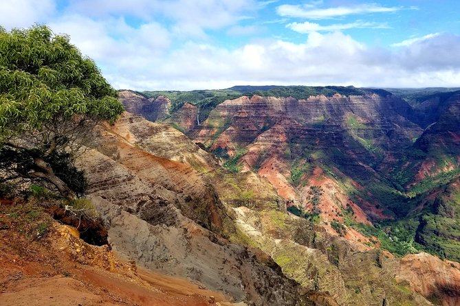 Private Waimea Canyon Tour - Natural Wonders and Scenic Stops