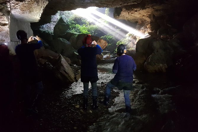 Private Waitomo Glowworm Cave Tours - Common questions