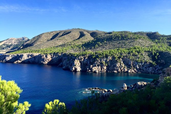 Private Walking & Hiking Experience Ibiza - Reviews and Ratings Overview