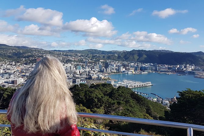 Private Wellington Full Day Sightseeing Tour - Last Words
