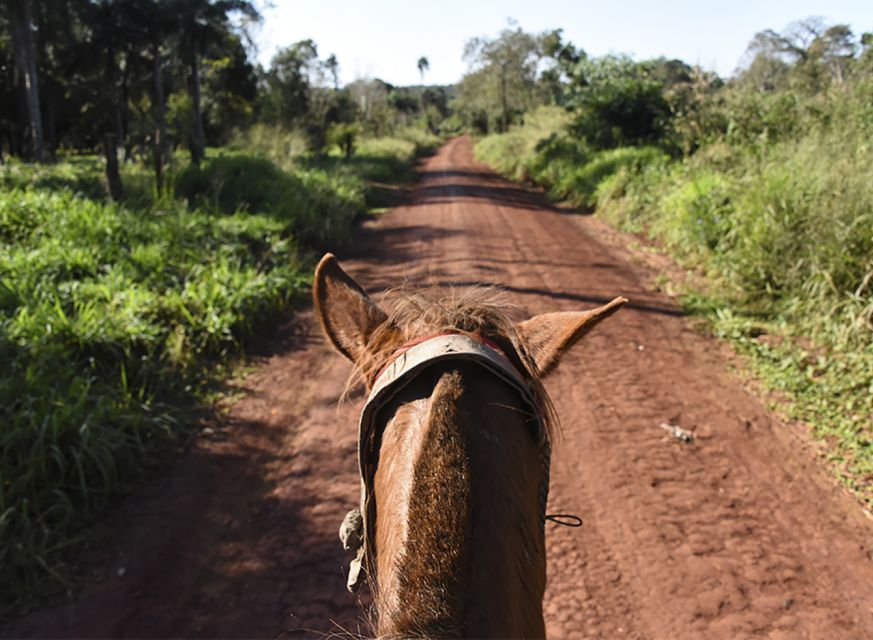Puerto Iguazu: Jungle Horseback Ride With Guaraní Community - Tips for a Memorable Experience