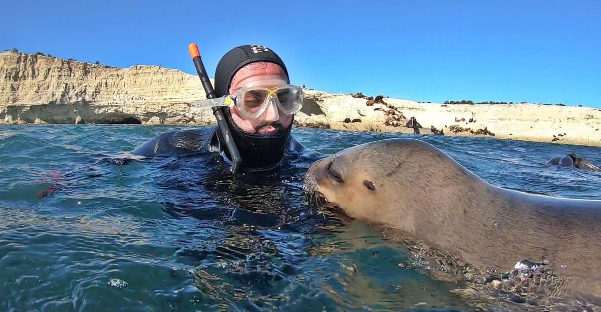 Puerto Madryn: 3-Hour Snorkeling Trip With Sea Lions - Booking Information and Product ID