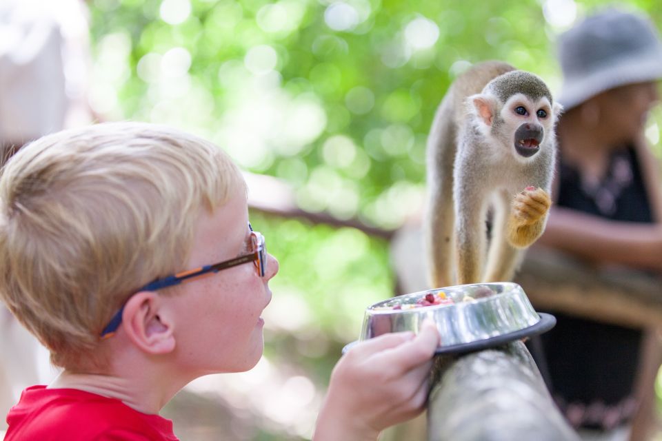 Puerto Plata: Monkeyland and Zip-Line Adventure - Last Words