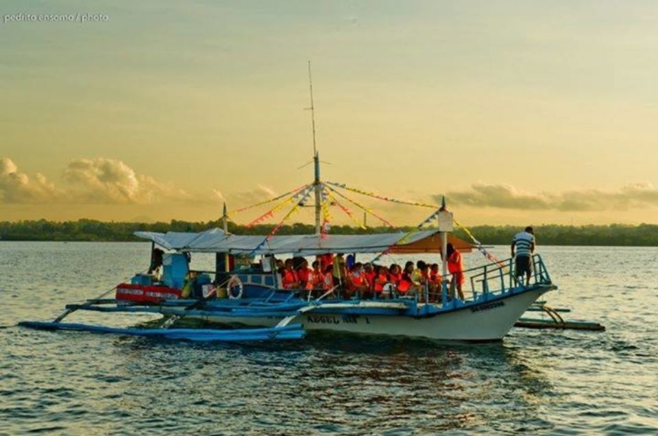 Puerto Princesa: Firefly Watching Bay Cruise With Dinner - Last Words