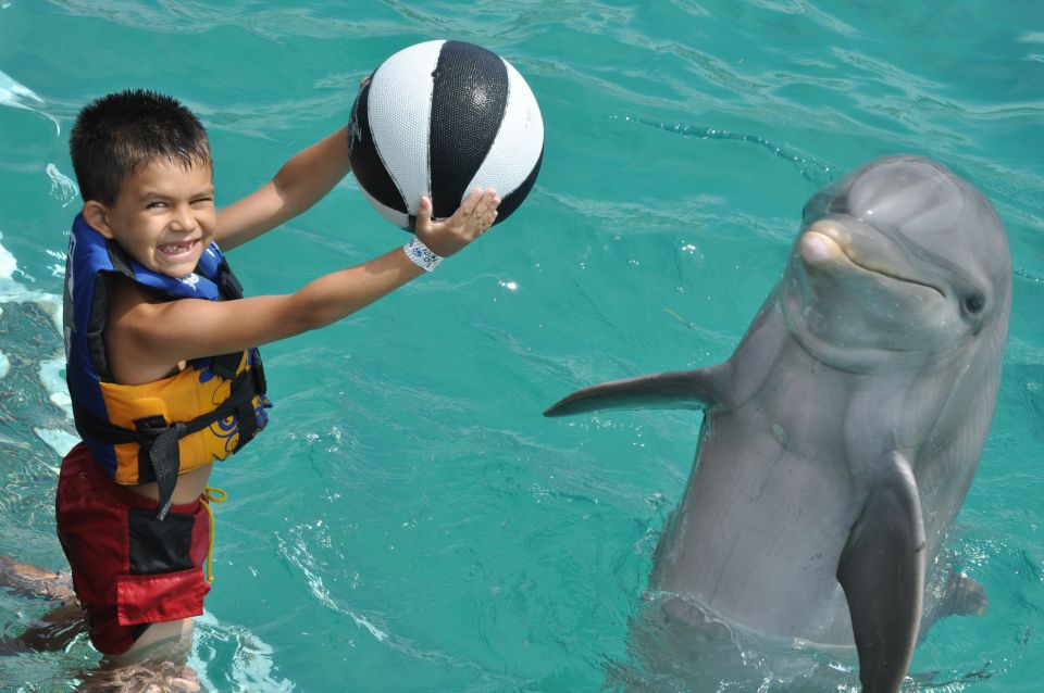 Punta Cana Dolphin Discovery - Encounter Duration