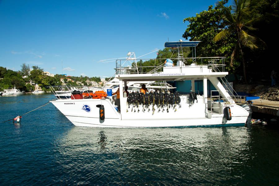 Punta Cana: Full-Day Snorkeling Tour to Catalina Island - Last Words