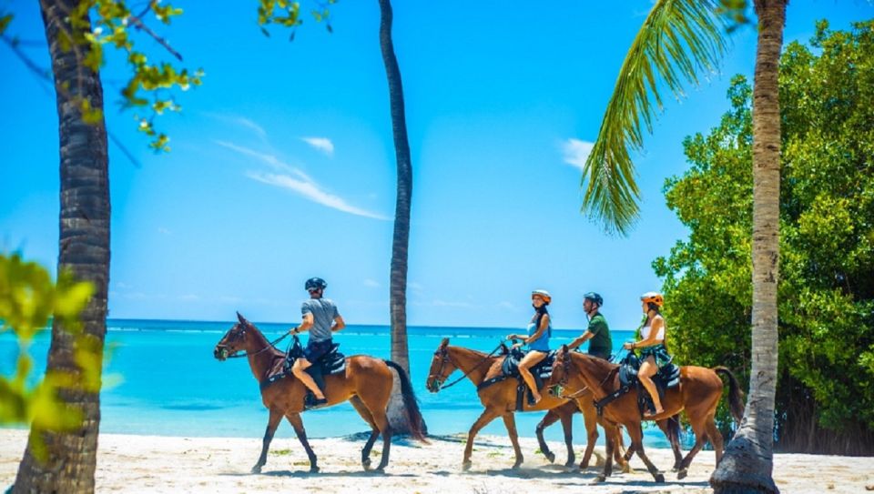 Punta Cana: Swim With Horses Guided Horseback Tour - Last Words
