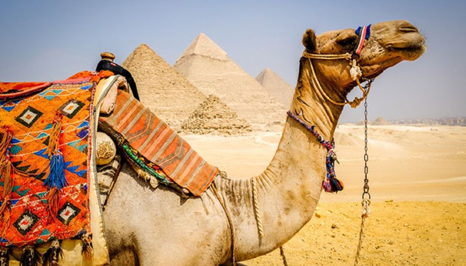 Pyramids of Egypt:Full Day Tour With Egyptologist Guide - Last Words