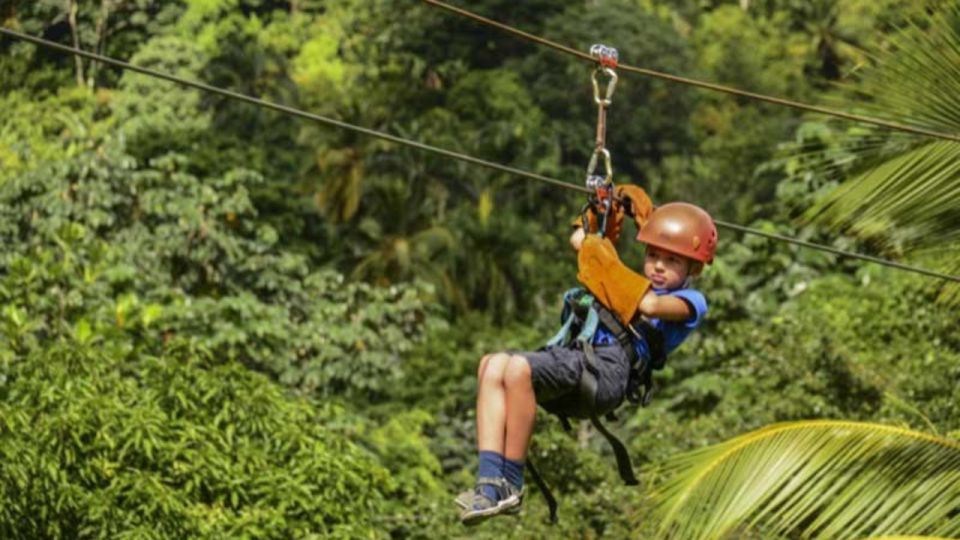 Rainforest Ziplining Adventure - Positive Customer Feedback