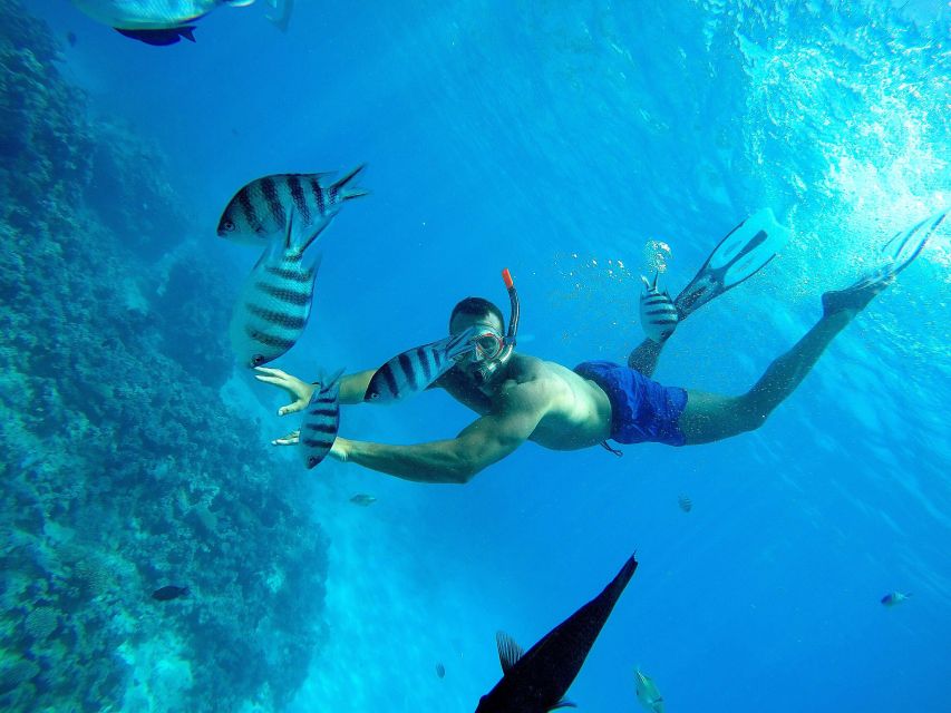 Red Sea: Snorkeling, Diving, Island, Watersport, and Fishing - Common questions