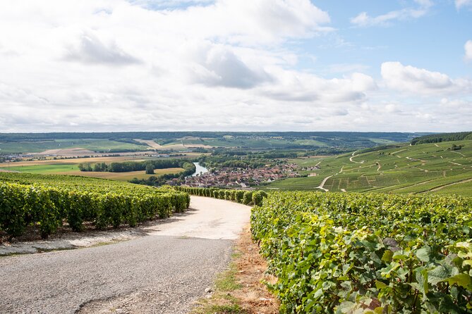 Reims Afternoon Tour Champagne and Family Growers - Common questions