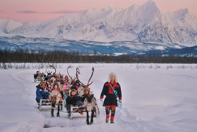 Reindeer Sledding and Feeding With Sami Culture in Tromso. - Common questions