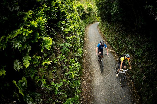 Remutaka Rail Trail Mountain Bike Explorer Cycle Tour - Last Words